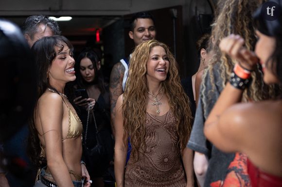 Shakira s’est vue récompensée d’un prix lors de la cérémonie des Grammy Awards, le 2 février dernier. Cependant son apparition à la célèbre cérémonie musicale ne s’est pas faite sans quelques critiques sur sa tenue mais aussi sur son apparence.