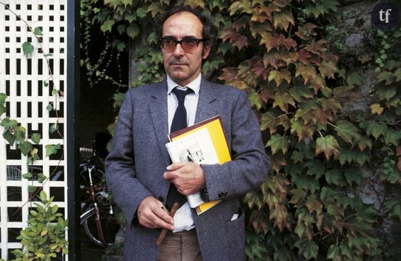 Pour vous faire votre avis sur Le Mépris, rien de plus simple puisqu'il est disponible gratuitement en ligne sur le site de France Télévisions.