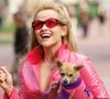 Et si notre chien nous sauvait de la solitude urbaine ? Comment nos toutous nous aident à créer du lien avec des inconnus