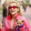Et si ton chien te sauvait de la solitude urbaine ? Les toutous nous aident à créer du lien avec des inconnus, c'est vital (et politique)