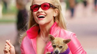 Et si ton chien te sauvait de la solitude urbaine ? Les toutous nous aident à créer du lien avec des inconnus, c'est vital (et politique)