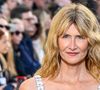 "Il n'est jamais trop tard" : Laura Dern, sidérante égérie de David Lynch, fait son tout premier défilé fashion à 58 ans, et on applaudit
