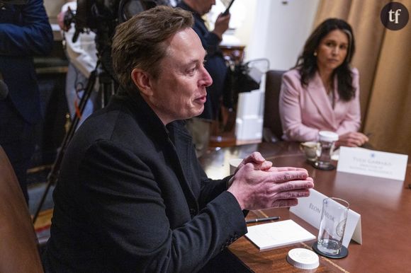 Elon Musk, PDG de Tesla, SpaceX et X (anciennement connu sous le nom de Twitter) et administrateur du Département de l'efficacité gouvernementale (DOGE), prononce un discours lors d'une réunion du Cabinet dans la salle du Cabinet de la Maison Blanche à Washington, DC, États-Unis, le 10 avril 2025. Crédit : Shawn Thew / Pool via CNP