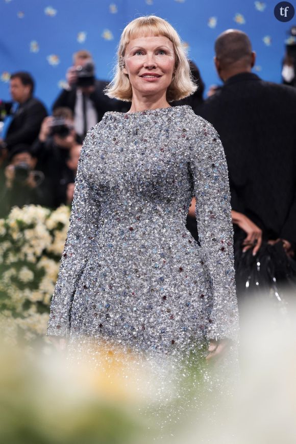 "What the fuck ?", "C'est quoi ce truc ?", "C'est ridicule" Sur les réseaux sociaux, des critiques virulentes s'expriment à l'encontre des démonstrations de style les plus... Clivantes, dirons-nous. A l'adresse du look très vintage et déconcertant de Pamela Anderson.