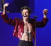 "Goût pastèque ou pas ?" :  Harry Styles lance sa propre marque de sextoys, et ce projet controversé nous laisse perplexe