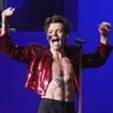 "Goût pastèque ou pas ?", "Hot Summer Harry" : Harry Styles lance sa gamme de sextoys, et ce projet controversé nous laisse perplexe