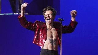 "Goût pastèque ou pas ?", "Hot Summer Harry" : Harry Styles lance sa gamme de sextoys, et ce projet controversé nous laisse perplexe