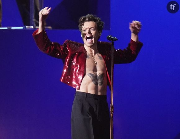 "Goût pastèque ou pas ?" :  Harry Styles lance sa propre marque de sextoys, et ce projet controversé nous laisse perplexe
