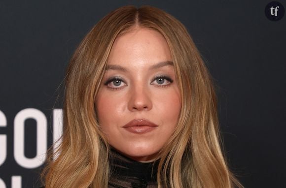 Sydney Sweeney est totalement réduite à son physique et plus particulièrement à ses seins. Tant et si bien que la grosse majorité des commentaires sont des blagues sur les choses qu’elle aurait pu dire pendant cette interview : “Oui, les poissons sont les éléphants du ciel.. Je suis d’accord”, “Je ne pourrais pas être plus d’accord. La terre est plate”, “Elle pourrait parler de l’histoire des boîtes en carton que je l’écouterais pendant des heures”...