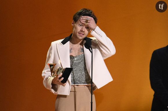 Et c'est Entertainment Weekly qui nous l'énonce : "La marque Pleasing de l'interprète de « Watermelon Sugar » Harry Styles élargit effectivement sa gamme de produits pour inclure quelques produits épicés.". Et ce n'est pas vraiment de la gamme de sauces de l'émission Hot Ones dont il sera ici question. Mais plutôt de ces jouets plus ou moins fantaisistes planqués dans le tiroir de la chambre à coucher.