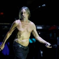 Iggy Pop danse torse nu à 77 ans et nous prouve que l’âgisme ne concerne apparemment que les femmes