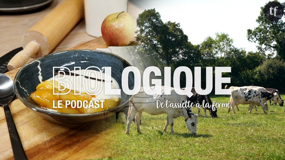 Vous consommez bio ou, au contraire, vous n’avez pas encore passé le cap ? Alors on a peut-être le podcast qu’il faut. Dans une aventure en quatre épisodes, vous suivez les influenceurs Hervé Cuisine et Amina dans un road trip aussi fun qu’instructif au cours duquel ils décident de remonter la chaîne laitière du bio, pour mieux comprendre ce qu’il y a dans leur assiette.