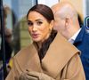 "Elle n'était pas censée être discrète ?" : Meghan Markle agace les internautes au concert de Beyoncé