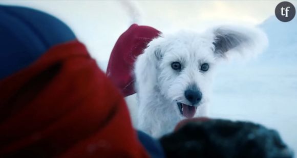 Dans ce cadre, ce nouveau Superman, homme d'acier défenseur de la veuve et de l'orphelin, est soupçonné de recycler combats et outils de langage "woke"... Sensiblement de gauche, donc.