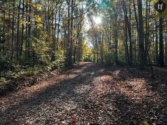 Glaçante, l’histoire de cette femme met une nouvelle fois en lumière que des prendre des dispositions, en théorie sécurisantes, n’empêchent pas les agresseurs de passer à l’acte. “Je me suis dit mais non, t’es dans un parc public, il y a du monde, il y a des enfants, là. Tu les entends là, qu’est-ce qui va t’arriver ?”, confie Sylvia Peromingo sur ce qui lui a traversé l’esprit après avoir croisé le regard de celui qui allait l’agresser quelques secondes plus tard.