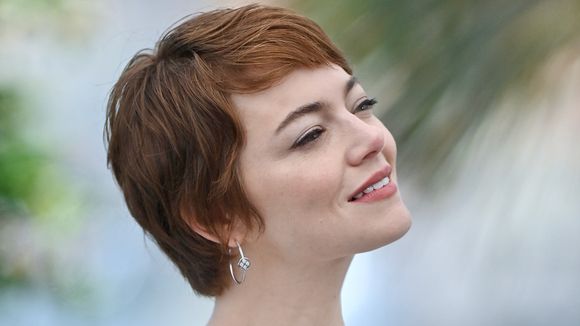 Emma Stone, Tilda Swinton, Mark Ruffalo : plus de 1200 stars se mobilisent pour la Palestine et "le boycott d'Israël"