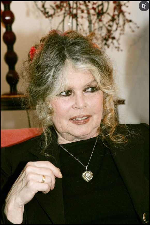 "Le féminisme va rendre les femmes malheureuses, on est pas faites pour être des hommes", affirmait Brigitte Bardot sur ces images controversées