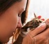 "Les chats ne tuent pas les meufs, eux !" : voilà pourquoi les femmes préfèrent les chats aux hommes (et se fichent de finir seules)