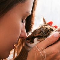 "Les chats ne tuent pas les meufs, eux !" : voilà pourquoi les femmes préfèrent les chats aux hommes (et se fichent de finir seules)