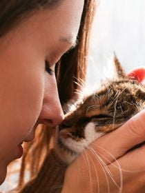 "Les chats ne tuent pas les meufs, eux !" : voilà pourquoi les femmes préfèrent les chats aux hommes (et se fichent de finir seules)