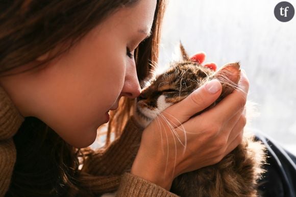 "Les chats ne tuent pas les meufs, eux !" : voilà pourquoi les femmes préfèrent les chats aux hommes (et se fichent de finir seules)