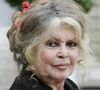 "Je ne suis pas féministe car j'aime les mecs", affirme Brigitte Bardot dans un discours polémique