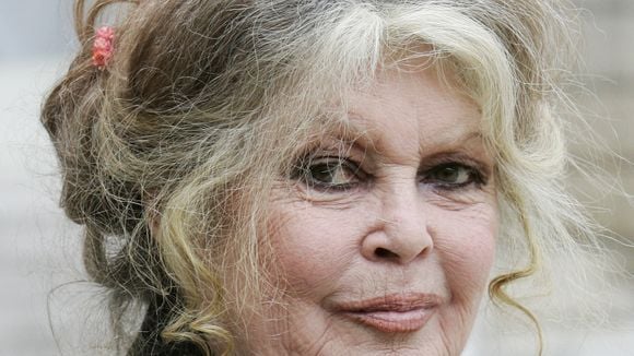 "Je ne suis pas féministe car j'aime les mecs", affirme Brigitte Bardot dans un discours polémique et ouvertement anti-#MeToo