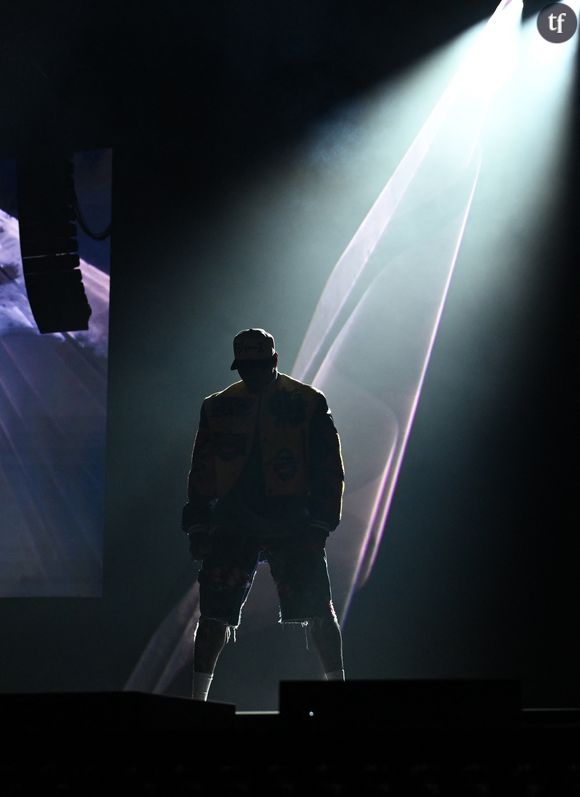 "Au secours" "Fan d'un mec qui a frappé Rihanna ?" : une femme a payé 1200 $ pour que ce célèbre rappeur lui retire son string