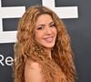 Shakira fêtait ce soir-là son 48e anniversaire.