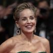Sharon Stone en nuisette à bientôt 70 ans est "sublime" et "naturelle" sur ces images qui célèbrent la beauté des "stars seniors"