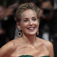 Sharon Stone en nuisette à bientôt 70 ans est "sublime" et "naturelle" sur ces images qui célèbrent la beauté des "stars seniors"