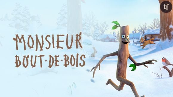 Vous pourrez également savourer les aventures de Monsieur Bout-de-bois, adapté de l'album de Julia Donaldson, où on suit un bâton qui prend vie et rêve de retrouver sa famille. Un conte moderne plein de fantaisie.

Mais bien d'autres films sont à découvrir comme L’Enfant au grelot, Noël avec les frères Koalas, Pat et Mat en hiver, Sabots sur glace... Et bien d’autres ! Vous l’aurez compris, il y a de quoi programmer plusieurs soirées cocooning avant, pendant et après les fêtes.