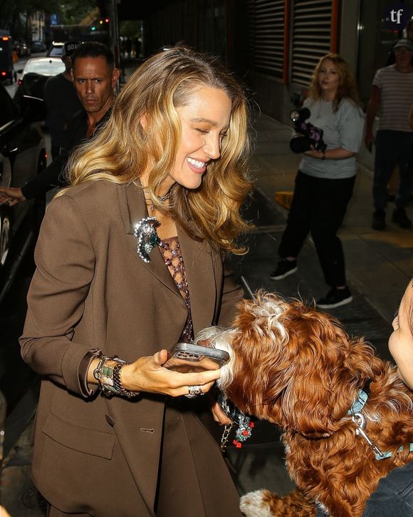 Récemment, Blake Lively avait demandé auprès du tribunal de New York le retrait "sans préjudice" de deux de ses plaintes envers Justin Baldoni, relatives à "l'infliction de détresse émotionnelle", plaintes déposées contre le réalisateur. Deux plaintes qui ont précisément trait à deux motifs, donc : détresse émotionnelle intentionnelle et négligence. Lively n'a pas souhaité communiqué au juge des documents médicaux attestant de sa "détresse"