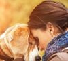 Et si nos chiens étaient de précieux alliés… Face à la solitude urbaine ? Surtout dans les grandes villes… Où ils provoquent des rencontres, hors drague, hors date, hors relous, en pleine rue, entre inconnus. Je te raconte pourquoi cette réflexion est loin d'être anodine.