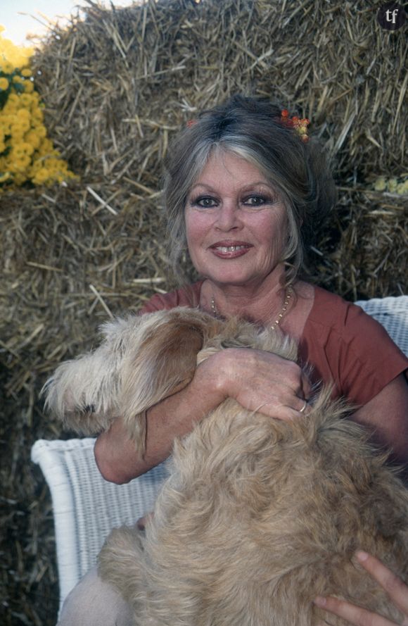 Aujourd'hui âgée de 90 ans, Brigitte Bardot continue de s'engager pour la cause animale. "Les animaux s'en fichent que j'ai vieilli. Ils m'aiment quand même", s'exclamait-elle déjà il y a quelques années. Des déclarations qui n'ont pas pris une ride.