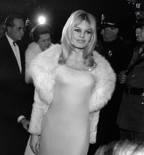 A cette époque, on est en 1973, Brigitte Bardot a 39 ans. Elle vient tout juste d'annoncer sa retraite artistique pour se consacrer à la création d'une fondation de protection des animaux.