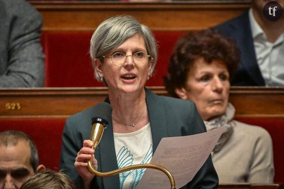 En 2016, la députée d'Europe Ecologie Les Verts (EELV) avait accusé Denis Baupin, l’ancien vice-président de l’Assemblée nationale, d’agressions sexuelles