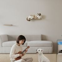Votre santé mentale dira “merci” à ces ennemis premium de la poussière