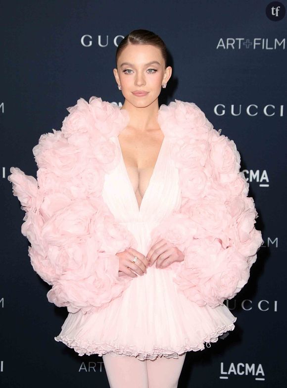 L'un comme l'autre se sont séparés de leurs ex compagnon/compagne il y a peu - Orlando ayant rompu avec son emblématique binôme de toujours, Katy Perry, suite à son voyage dans l'espace. De ce voyage en fusée il en est justement question, puisque tout ce qui s'est écrit sur Orlando Bloom et Sydney Sweeney éclot de la grande fête de fiançailles de Jeff Bezos !