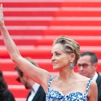 "Sex symbol absolu" : Sharon Stone pose nue à 67 ans sur ces photos "iconiques" et sulfureuses