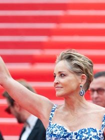 "Sex symbol absolu" : Sharon Stone pose nue à 67 ans sur ces photos "iconiques" et sulfureuses