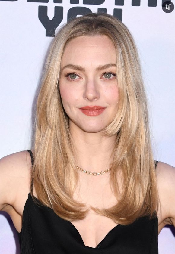 L'actrice culte de Jennifer's Body et Mean Girls ouvre la voix contre Harvey Weinstein. L'ogre d'Hollywood est convaincu qu'il peut ressortir blanchi de ce nouveau procès très retentissant... Amanda Seyfried brise le silence.