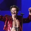 Harry Styles : ce chanteur de 22 ans a été élu son sosie