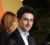 "Pire choix possible", "pas de muscles" : Timothée Chalamet en James Bond ? Les internautes sont en PLS